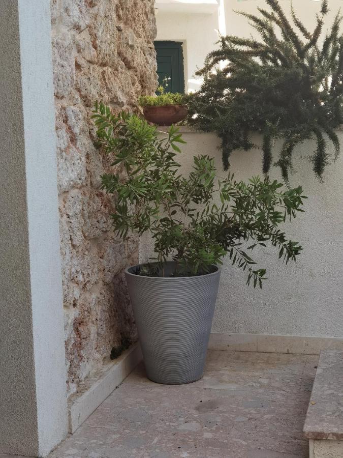 Manda Gradac Apartment Carnac Ngoại thất bức ảnh